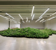 Газон в доме, золотая паутина и диско 1980-х: как выглядят самые модные интерьеры мира - «Статьи о недвижимости»