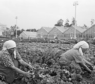 80-летие ВДНХ: история выставки в фотографиях - «Статьи о недвижимости»