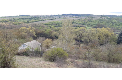 Село дубки симферопольский. Село теплое Симферопольский район. Крым село теплое.