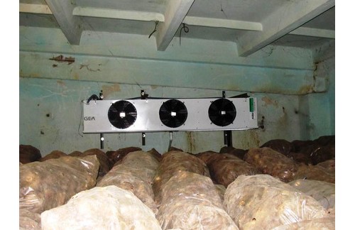 Холодильные Системы для Овощехранилищ. Монтаж под "Ключ" Евпатория № 1846995 - «Оборудование»